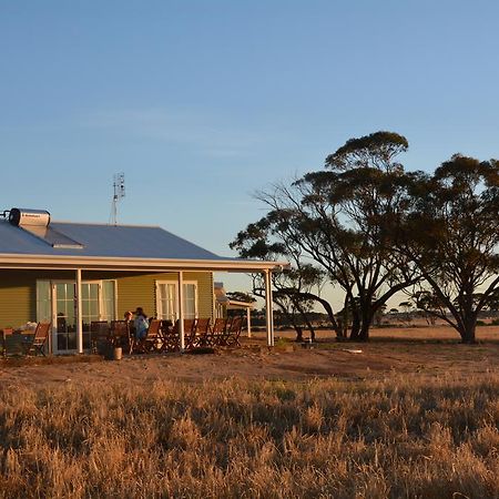 Mary'S Farm Cottages Kukerin Exteriér fotografie