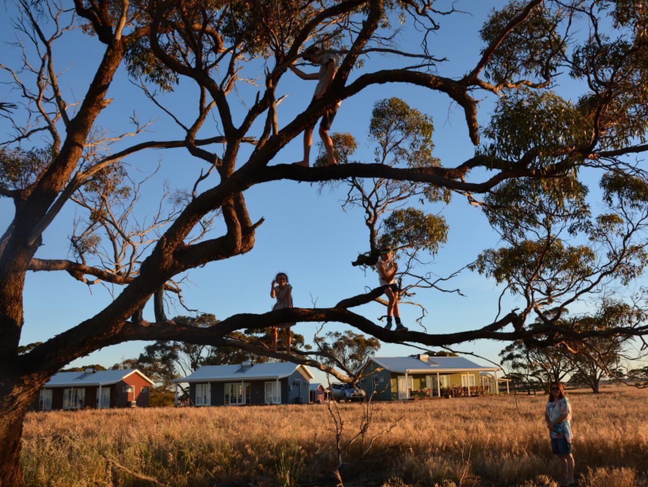 Mary'S Farm Cottages Kukerin Exteriér fotografie